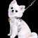 画像8: 【メール便無料】犬用 花柄 ハーネス＆リード 小型犬 旅行 散歩 胴輪セット 軽量 簡単装着 ベージュ系 (8)
