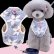 画像3: 【メール便無料】犬用 花柄 ハーネス＆リード 小型犬 旅行 散歩 胴輪セット 軽量 簡単装着 ブルー系 (3)