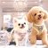 画像14: Sale中【メール便無料】愛犬用 犬服 ペット用 ハーネス SET 犬用 犬 可愛い ベア チェック柄 くま ハーネスセット 胴輪セット 可愛いハーネス 小型犬 散歩 旅行 軽量 簡単装着 グレー (14)