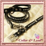 クロコエナメル風　カラー＆リード黒（首輪＆リードのセット） 