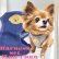 画像13: 犬用 犬 刺繍 ワッペン ハーネス リード セット 胴輪 胴輪セット 可愛いハーネス 小型犬 散歩 旅行 軽量 簡単装着 グレー