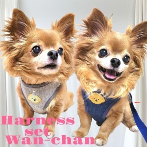 画像13: 犬用 犬 刺繍 ワッペン ハーネス リード セット 胴輪 胴輪セット 可愛いハーネス 小型犬 散歩 旅行 軽量 簡単装着 紺 ネイビー