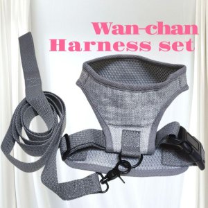 画像4: 犬用 犬 刺繍 ワッペン ハーネス リード セット 胴輪 胴輪セット 可愛いハーネス 小型犬 散歩 旅行 軽量 簡単装着 グレー