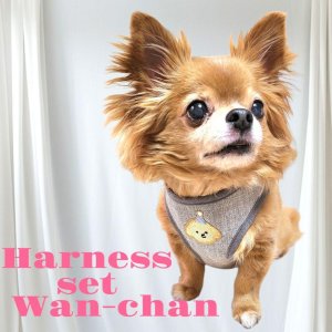 画像7: 犬用 犬 刺繍 ワッペン ハーネス リード セット 胴輪 胴輪セット 可愛いハーネス 小型犬 散歩 旅行 軽量 簡単装着 グレー