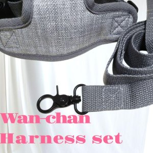 画像9: 犬用 犬 刺繍 ワッペン ハーネス リード セット 胴輪 胴輪セット 可愛いハーネス 小型犬 散歩 旅行 軽量 簡単装着 グレー