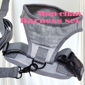 画像10: 犬用 犬 刺繍 ワッペン ハーネス リード セット 胴輪 胴輪セット 可愛いハーネス 小型犬 散歩 旅行 軽量 簡単装着 グレー