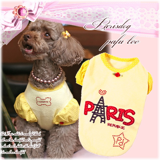 犬 服/最終Sale【1050円】春 夏・パリスパフTEE　イエロー/ParisDog