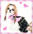 画像1: 【再入荷】秋 冬/キューピット　オールインワン【Puppyzzang】メール便OK! 