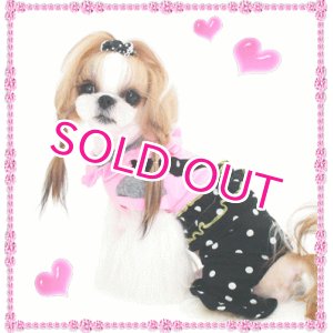 画像: 【再入荷】秋 冬/キューピット　オールインワン【Puppyzzang】メール便OK!