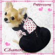 画像2: 新作/愛犬服/*水玉のハイウエストワンピース*【Puppyzzang】メール便OK【セッ ト割引対象商品】2480