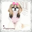 画像5: ★メール便無料【ポイント10倍+ハンガー】愛犬用/新作/夏/シルバースターパフTEE Puppyzzang