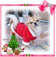 画像3: 【再入荷】【大特価】【1500円】メリークリスマス！サンタさんフード【puppyzzang】【セット割】1480　xmas