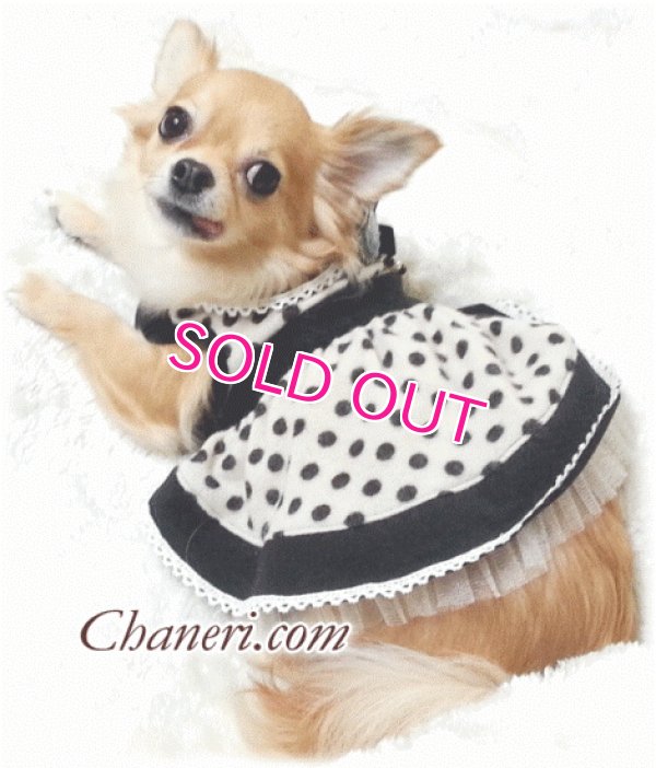 画像2: 【再入荷】秋冬春/愛犬服/水玉のカメオドレス【メール便OK】