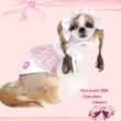 画像2: 犬 服/愛犬[メール便無料]ベイビッシュパフスリーブTEE ピンク-PUPPYZZANG/セット割引対象商品1420