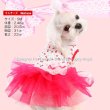 画像3: 犬 服/愛犬[メール便無料]Cherry Shirring Dress[PUPPYANGEL]PA-DR102