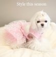 画像5: PUPPYANGEL/新作Sweet Valentine Tutu Dress /PA-DR125【送料無料】