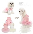 画像5: 新作/Royal Ballet Dress/PUPPYANGEL/PA-DR130【送料無料】