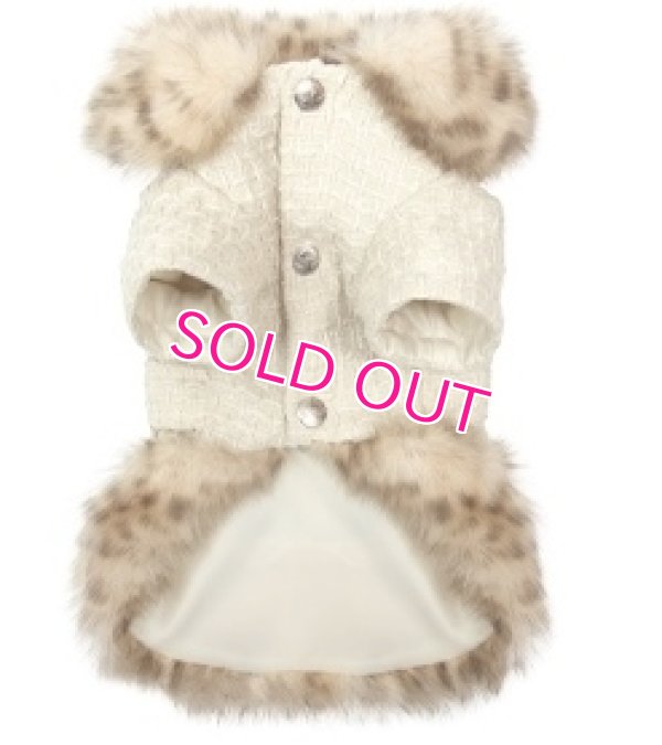 画像5: 犬服【再入荷】【送料無料】Marple Millionaire Coat【PUPPYANGEL★パピーエンジェル】PA-OW209