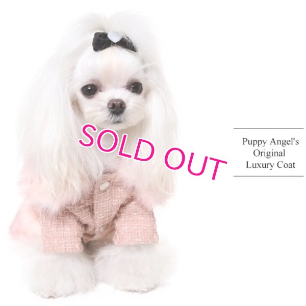 画像4: 犬服【再入荷】【送料無料】Marple Millionaire Coat【PUPPYANGEL★パピーエンジェル】PA-OW209