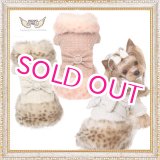 画像: 犬服【再入荷】【送料無料】Marple Millionaire Coat【PUPPYANGEL★パピーエンジェル】PA-OW209