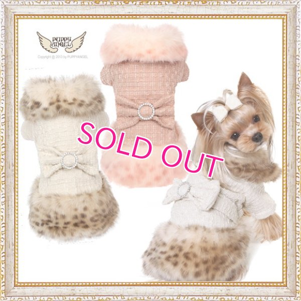 画像1: 犬服【再入荷】【送料無料】Marple Millionaire Coat【PUPPYANGEL★パピーエンジェル】PA-OW209