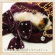 画像2: 【在庫一掃】【1380円】【XL】愛犬用/AIR BALLOON/ねこみみパーカー-アウトレット