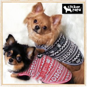 画像: 【犬 服】【メール便OK】【早割1580円】【新作】エスニックボーダー TEE【コカパパ】【Cockerpapa】