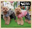 画像2: 【犬 服】【メール便OK】【早割1580円】【新作】エスニックボーダー TEE【コカパパ】【Cockerpapa】