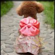 画像4: 【犬 服】【Sale】【1680円】【帯飾り付】オシャレゆかた【Michael】【Cute dog】【メール便OK】