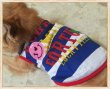 画像10: 【犬 服】【在庫Sale】【777円】【メール便OK】スマイルボーダーメッシュTEE【Petstyle】