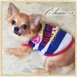 画像2: 【犬 服】【在庫Sale】【777円】【メール便OK】スマイルボーダーメッシュTEE【Petstyle】