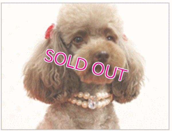 画像5: 【犬用】【アクセサリー】パールビジューネックレス【Parisdog】【メール便OK】