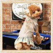 画像2: 【犬 服】【メール便OK】【セール】グリッターウイングスタンクTEE【 コカパパ】Wings GlitterNo Sleeves Tee【メール便OK】