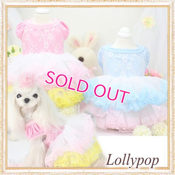 画像2: 【新作】【春夏】【Sale　2480円】【犬 服】パフ袖のレースチュチュドレス【Lollypop】【メール便OK】