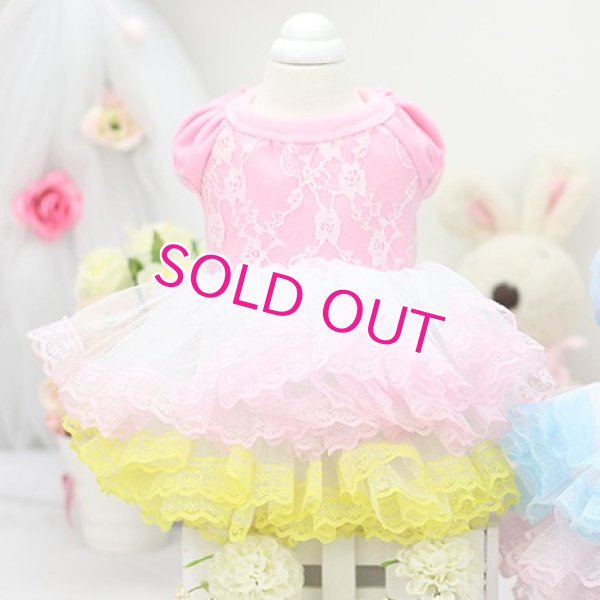 画像8: 【新作】【春夏】【Sale　2480円】【犬 服】パフ袖のレースチュチュドレス【Lollypop】【メール便OK】