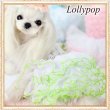 画像5: 【新作】【春夏】【Sale　2180円】【犬 服】ローズモチーフチュチュドレス【Lollypop】【メール便OK】