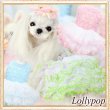 画像1: 【新作】【春夏】【Sale　2180円】【犬 服】ローズモチーフチュチュドレス【Lollypop】【メール便OK】