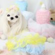 画像4: 【新作】【春夏】【Sale　2480円】【犬 服】パフ袖のレースチュチュドレス【Lollypop】【メール便OK】