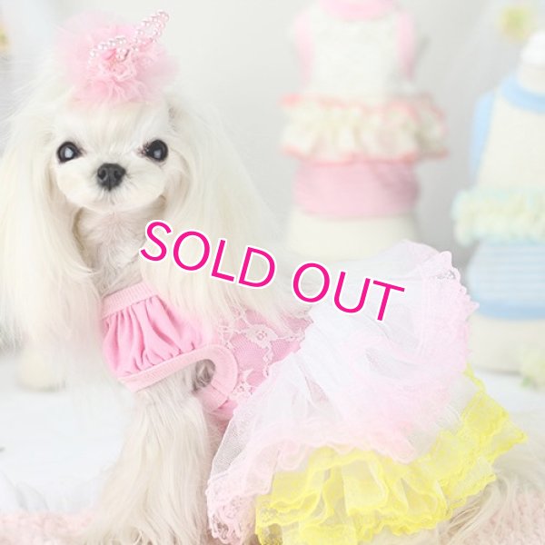 画像3: 【新作】【春夏】【Sale　2480円】【犬 服】パフ袖のレースチュチュドレス【Lollypop】【メール便OK】