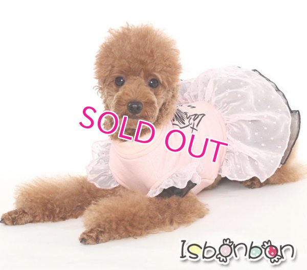 画像2: 【在庫限り】【Mサイズのみ】【Sale　2000円】【犬 服】シフォンフリルのリボンワンピ【ISBONBON】【メール便OK】