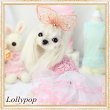 画像2: 【新作】【春夏】【Sale　2180円】【犬 服】ローズモチーフチュチュドレス【Lollypop】【メール便OK】