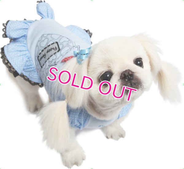 画像2: 【在庫限り】【50%OFF】【犬 服】リトルクラッチバッグドレス 【PUPPYANGEL】【メール便OK】