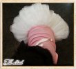 画像4: 【在庫Sale】【1580円】【犬 服】ホワイトリボンのチュチュドレス【メール便OK】