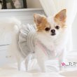 画像3: 【犬 服】【30％OFF】【Sale3680円】 Cocoニッティードドレスグレー【PrettyPet】【メール便OK】