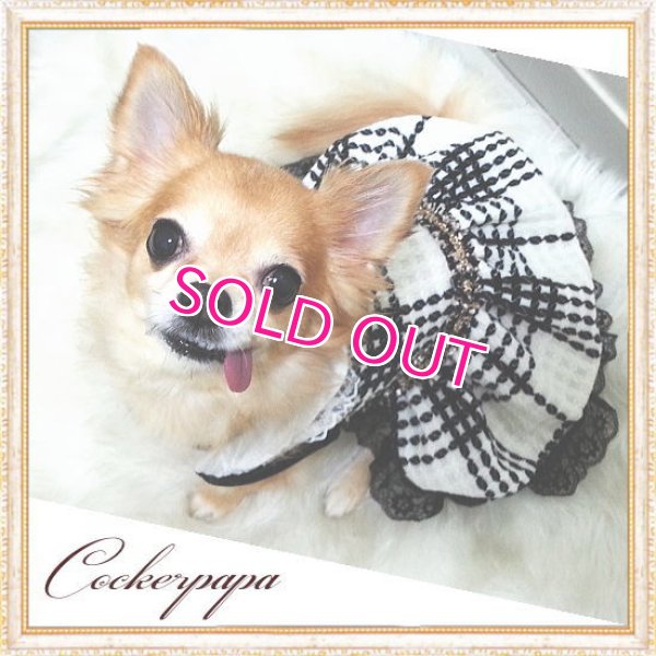画像11: 【犬 服】【新作】【2980円】Coco調白黒チェックドレス オフホワイト【Doggy Star】【メール便OK】
