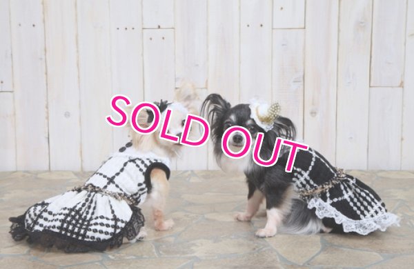画像13: 【犬 服】【新作】【2980円】Coco調白黒チェックドレス オフホワイト【Doggy Star】【メール便OK】
