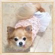 画像14: 【再入荷】【Sale】【1680円】【犬 服】Roseモチーフワンピース【petstyle】【メール便OK】