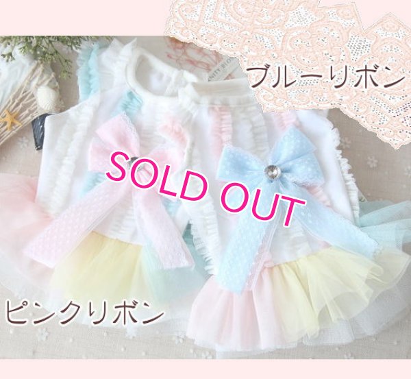 画像11: 【最終Sale】【在庫限り】【1180円】マカロンカラ－のワンピース【petstyle】【メール便OK】