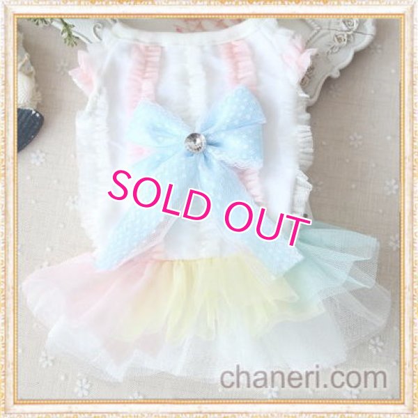 画像10: 【最終Sale】【在庫限り】【1180円】マカロンカラ－のワンピース【petstyle】【メール便OK】