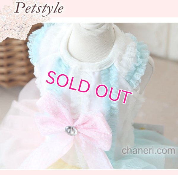 画像6: 【最終Sale】【在庫限り】【1180円】マカロンカラ－のワンピース【petstyle】【メール便OK】